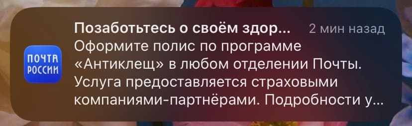 AMP-письмо квест «Чек-лист важных дел к новому году» от COFFESSO