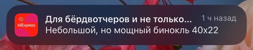 AMP-письмо квест «Чек-лист важных дел к новому году» от COFFESSO